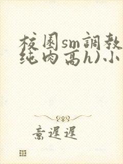 校园sm调教(纯肉高h)小说封面
