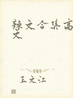 辣文合集高h辣文