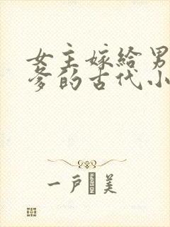 女主嫁给男主他爹的古代小说