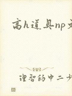 高h道具np文