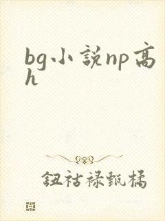 bg小说np高h