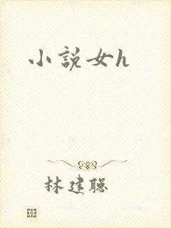 小说女h封面