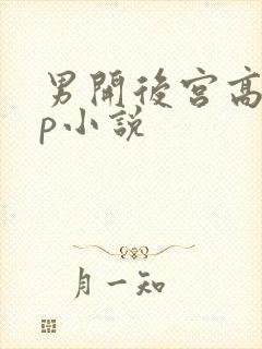 男开后宫高hnp小说