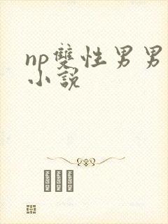 np双性男男h小说封面