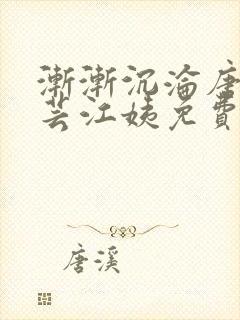 渐渐沉沦唐浪唐芸江姨免费阅读封面