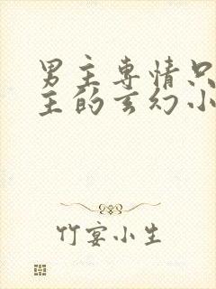 男主专情只爱女主的玄幻小说封面