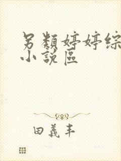 另类婷婷综合区小说区