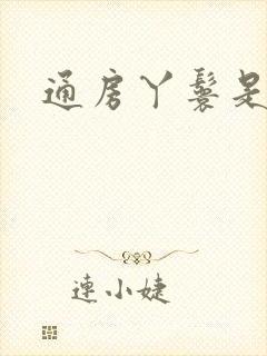 通房丫鬟是封面