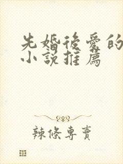 先婚后爱的军婚小说推荐