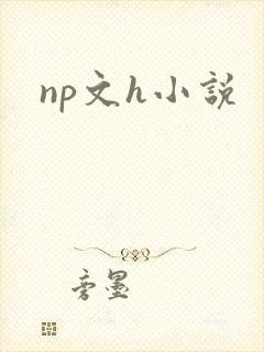 np文h小说