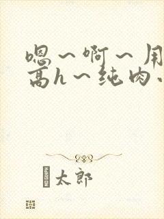 嗯～啊～用力～高h～纯肉小说