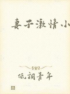 妻子激情小说封面