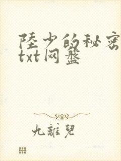 陆少的秘密恋人txt网盘