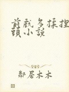 前戏多揉捏含乳头小说