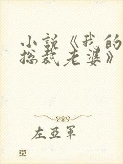 小说《我的冷艳总裁老婆》封面