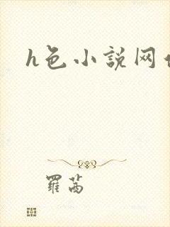 h色小说网站