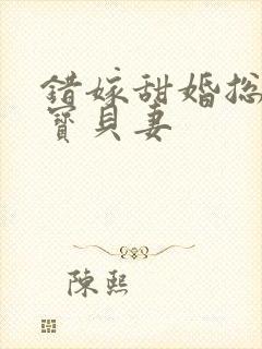 错嫁甜婚总裁的宝贝妻封面