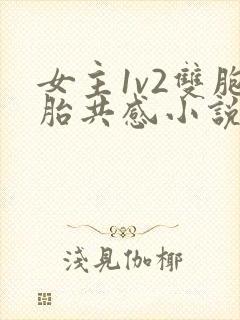 女主1v2双胞胎共感小说