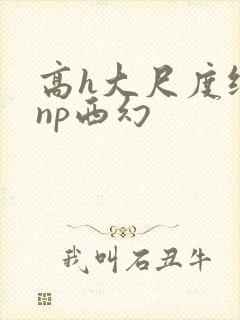 高h大尺度纯肉np西幻