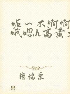 呃～不啊啊～哦哦嗯h高黄文封面