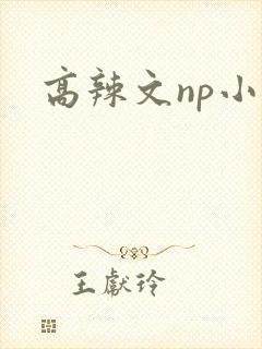高辣文np小说