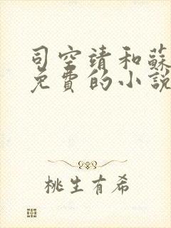 司空靖和苏月汐免费的小说最新章节