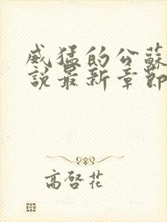 威猛的公苏水小说最新章节阅读