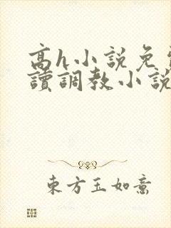 高h小说免费阅读调教小说免费阅读