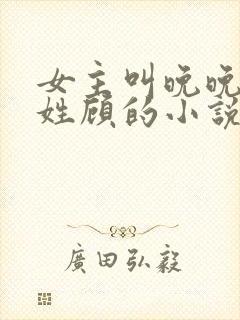 女主叫晚晚男主姓顾的小说