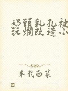 奶头乳孔被扩张玩烂改造小说