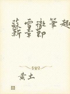 苏雪微笔趣阁最新章节