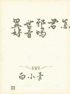 异世邪君怎么样好看吗封面