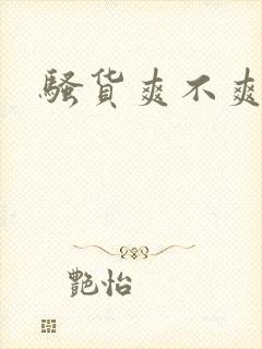 骚货爽不爽啊封面