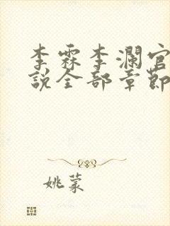 李霖李澜官场小说全部章节目录封面