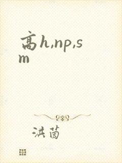 高h,np,sm