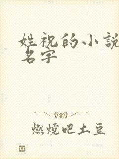 姓祝的小说女主名字封面