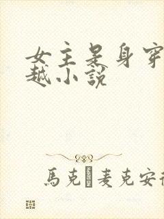 女主是身穿的穿越小说封面