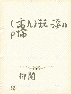 (高h)玩淫np伦