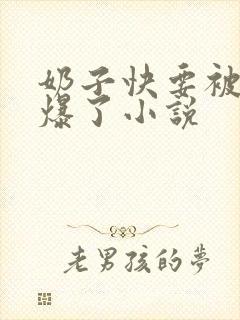 奶子快要被你揉爆了小说封面