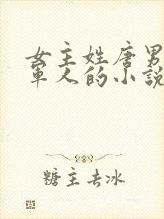 女主姓唐男主是军人的小说