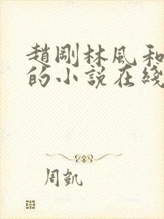 赵刚林风和苏柔的小说在线阅读封面