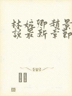 林婉卿赵景玄小说最新章节更新内容