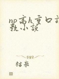 np高h重口调教小说封面