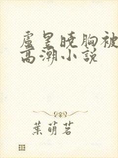 卢昱晓胸被揉到高潮小说