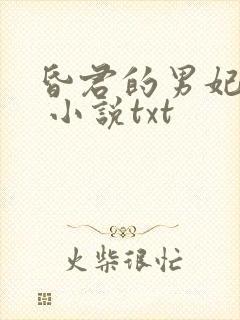 昏君的男妃后宫 小说txt