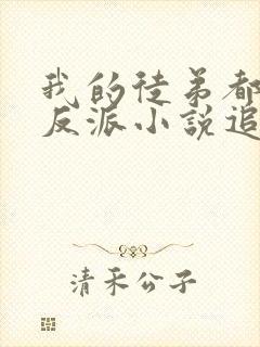 我的徒弟都是大反派小说追书封面