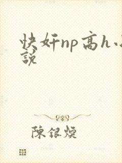 快奸np高h小说封面