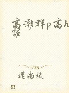 高潮群p高h小说