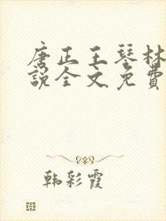 唐正王琴林媛小说全文免费阅读