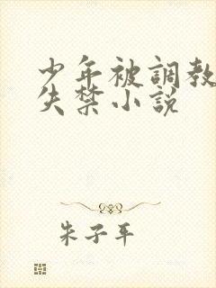 少年被调教爽到失禁小说